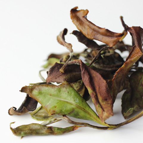 Super White Tea